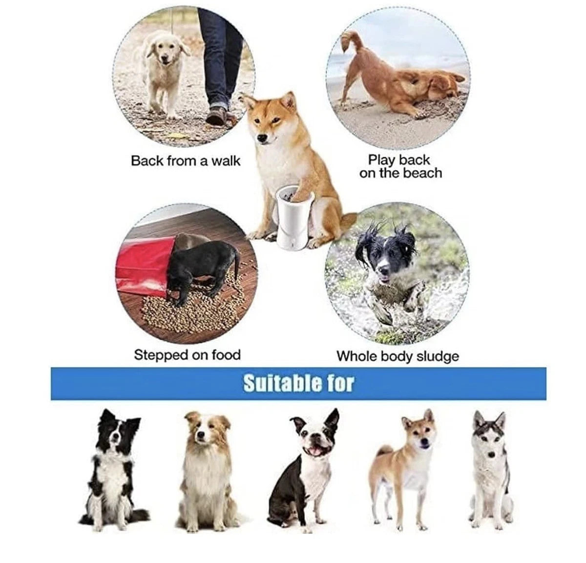 Automatic Pet Paw Cleaner Station